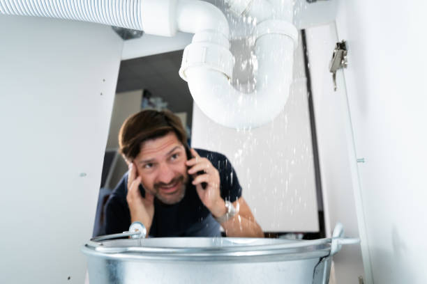Best Affordable Plumbing Services  in Sibley, IA