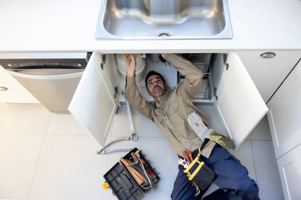 Best Plumbing Services Near Me  in Sibley, IA