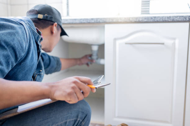 Best Commercial Plumbing Services  in Sibley, IA