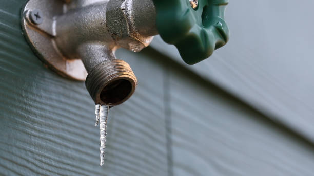 Best Sewer Line Replacement  in Sibley, IA