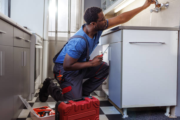 Best Sprinkler Systems  in Sibley, IA