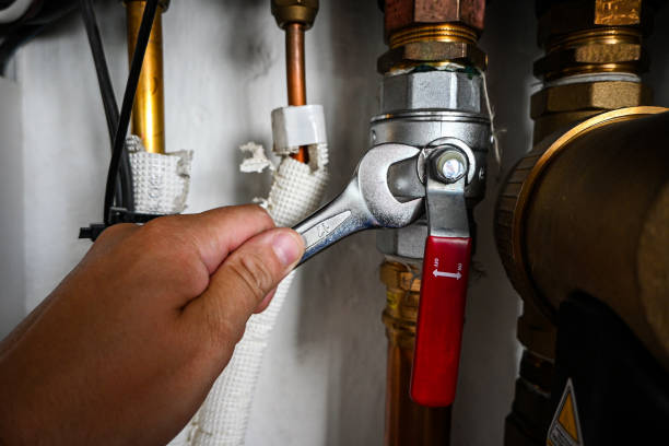 Best Same-Day Plumbing Service  in Sibley, IA